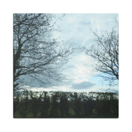 自然16インチx16インチメタルアート メタルプリント