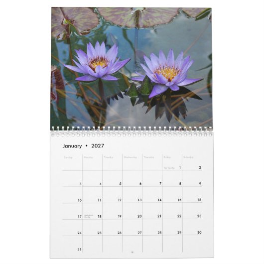 自然2013年 カレンダー (1月 2027)