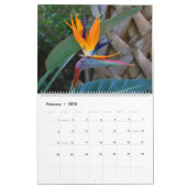 自然2016年 カレンダー (2月 2026)