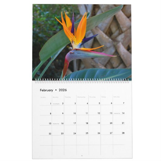 自然2016年 カレンダー (2月 2026)