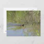 自然2 ポストカード (正面/裏面)