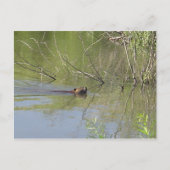 自然2 ポストカード (正面)