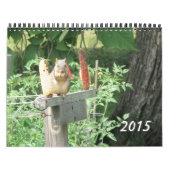 自然・カレンダーのシーン カレンダー (カバー)