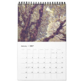 自然 カレンダー (1月 2027)