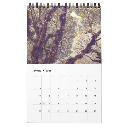 自然 カレンダー (1月 2026)