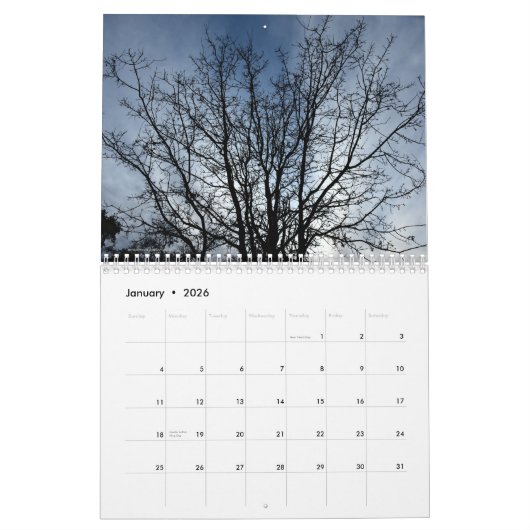 自然 カレンダー (1月 2026)