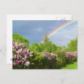 自然・カードの色 ポストカード (正面/裏面)