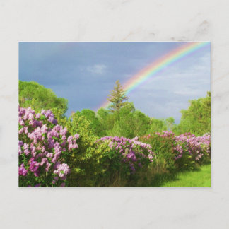 自然・カードの色 ポストカード