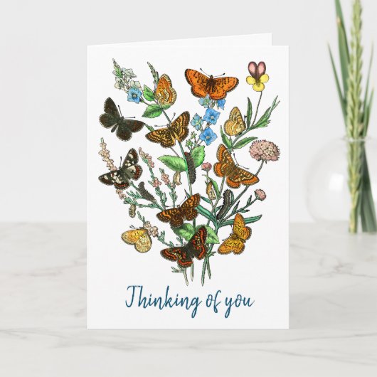 自然 カード (正面)