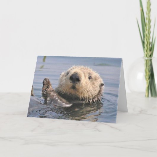 自然 クライメート ノート カード (正面)