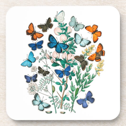 自然 コースター (正面)