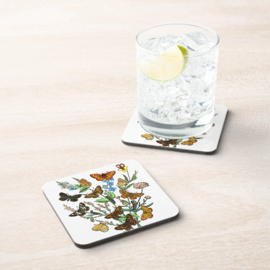 自然 コースター (右側)