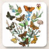 自然 コースター (正面)