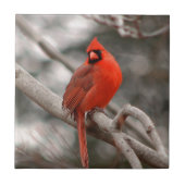 自然 タイル (正面)