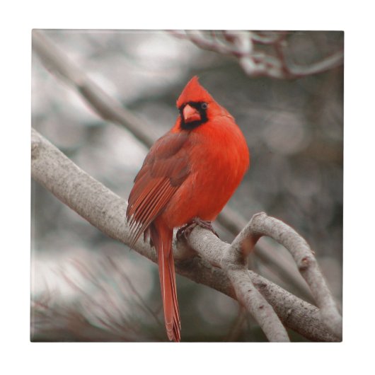 自然 タイル (正面)