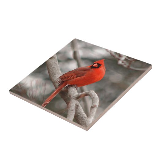 自然 タイル (側面)