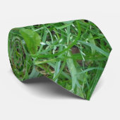 自然 ネクタイ (ロール)