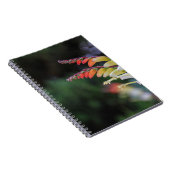 自然 ノートブック (右側)