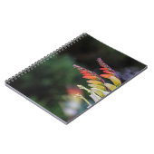 自然 ノートブック (左側)