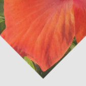 自然，ハイビスカス，花，夏，フローラ，熱帯 薄葉紙 (詳細)