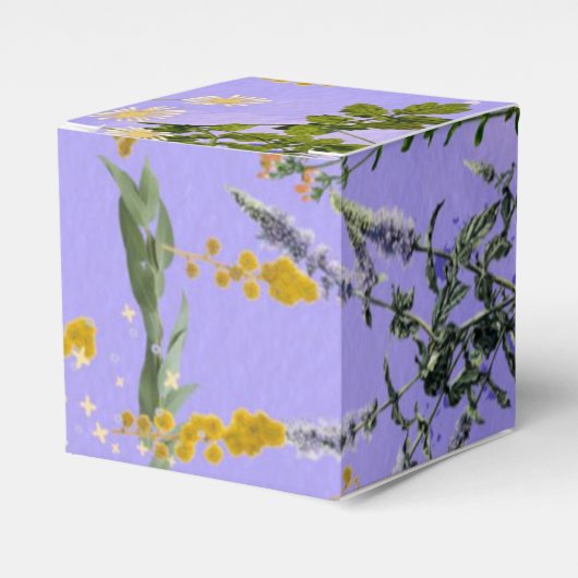 自然 フェイバーボックス (正面サイド)