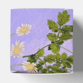 自然 フェイバーボックス (上部)