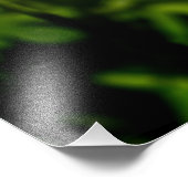 自然 フォトプリント (角)