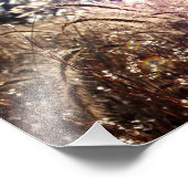 自然 フォトプリント            (角)