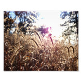 自然 フォトプリント            (正面)