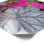 自然 フォトプリント            (角)