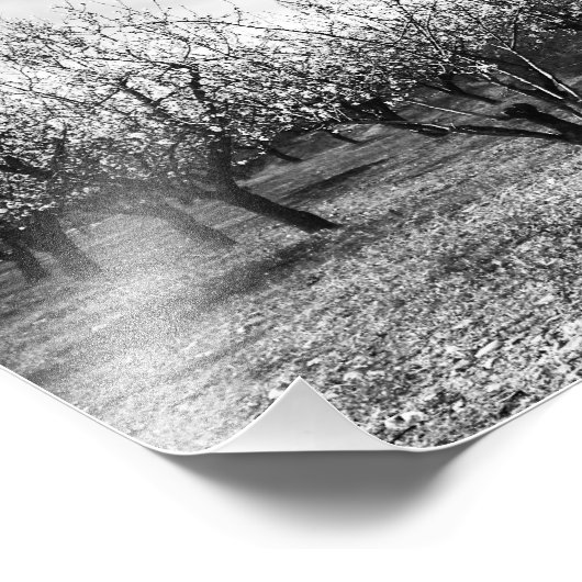 自然 フォトプリント            (角)