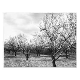 自然 フォトプリント           