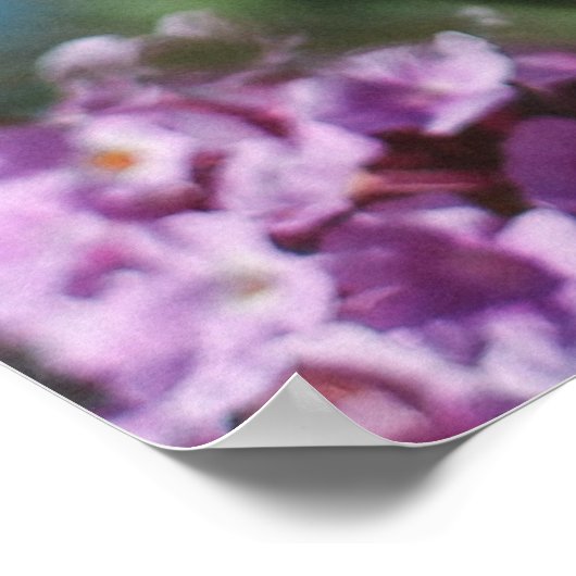 自然 ポスター (角)