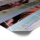 自然 ポスター (角)