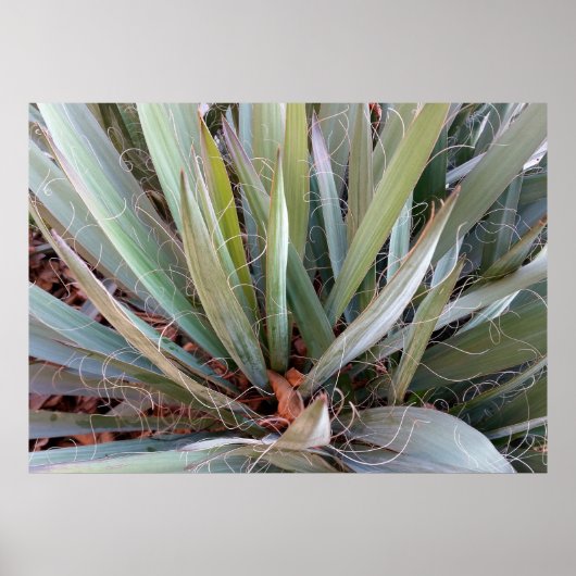 自然 ポスター (正面)