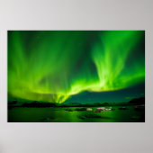 自然 ポスター (正面)