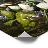 自然 ポスター (角)