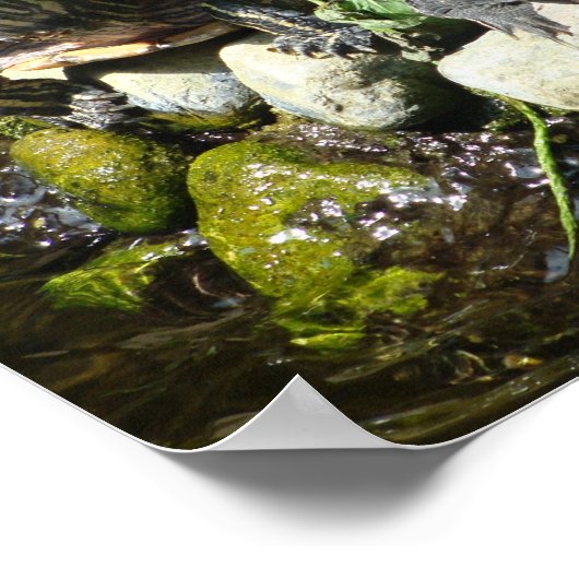 自然 ポスター (角)