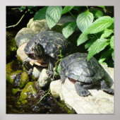 自然 ポスター (正面)