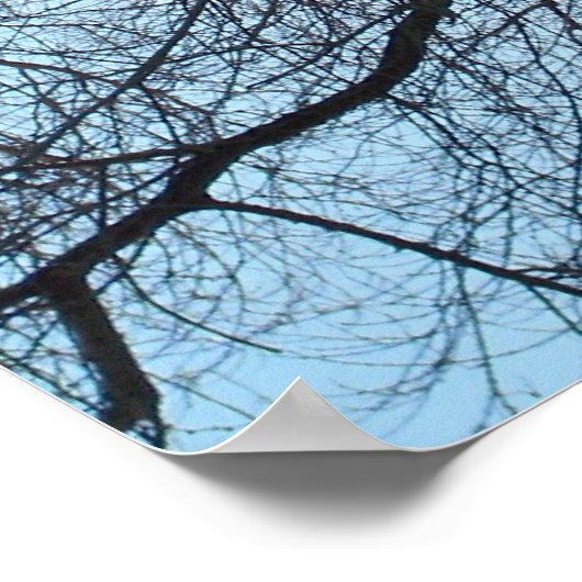 自然 ポスター (角)