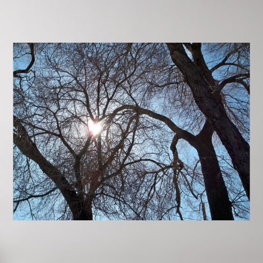 自然 ポスター (正面)