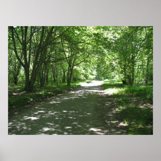 自然 ポスター (正面)