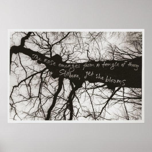 自然 ポスター (正面)