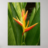 自然 ポスター (正面)