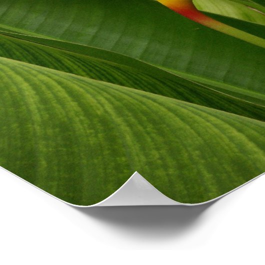 自然 ポスター (角)