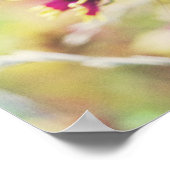 自然 ポスター (角)