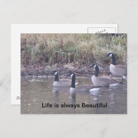 自然 ポストカード (正面/裏面)