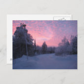 自然 ポストカード (正面/裏面)