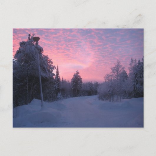 自然 ポストカード (正面)