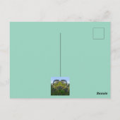 自然 ポストカード (裏面)